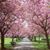 Laura Marie Davis's profile image