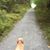 Susan Brink's profile image