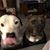 Debra Kay Duey-Valcho's profile image
