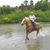 Cyndi Daneshmand's profile image
