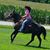 Erin Journell Lunsford's profile image