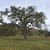 Beth Ramseyer Whitworth's profile image