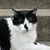 Sam Smith Georgen's profile image