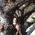 Diana Taylor's profile image