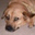 Tammy Frank's profile image
