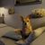 Pamela Hannan's profile image