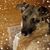 David G. Abler's profile image