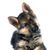 Lisa Roberts's profile image