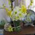 Mary Fran Hudson's profile image