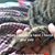 Arica Ann Drager's profile image