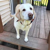 Amy Smith's profile image