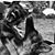 Bruce Potenza's profile image