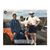 Rick Donalson's profile image