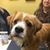 Carol Clausen's profile image