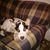 Tina Medlock Young's profile image