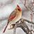 Christine Anderson Jensen's profile image