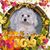 Roz Porter's profile image