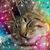 Stephanie Jones-Trinklein's profile image