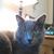 Edward Glenn's profile image