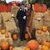 Gessie Frater's profile image