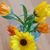 Maribeth Topalanchik's profile image