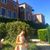 Priscila Ribeiro's profile image