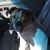 Kathy Harris Tilden's profile image