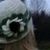 Rhonda Saurer Henning's profile image