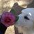 Sherry Mitchell Fiedler's profile image