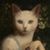 Butterfield Violetta's profile image