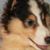 Beverly Ruskey's profile image
