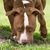Tim Brown's profile image