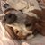 Michelle Battistone's profile image