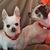 Lynn Fusco's profile image