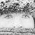 Ergin Akif's profile image