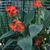 Debbie Walters Deitloff's profile image