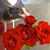 Trudyleigh Bryant's profile image