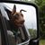 Judy Bishop Jurek's profile image