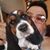 Richard John Tellez's profile image
