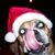 Yvonne Smith's profile image