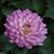 Barbara Klaproth's profile image
