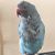 Lois Sparbel's profile image