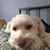 Ellie Davis's profile image