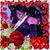 Dorothy Frazier's profile image