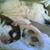Carola Weil's profile image