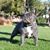 Stasia Fite's profile image