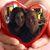 Linda Eckelson's profile image