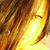 Candace Intinarelli's profile image
