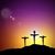 Sheila C Jones's profile image