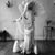 Denise Crowe's profile image